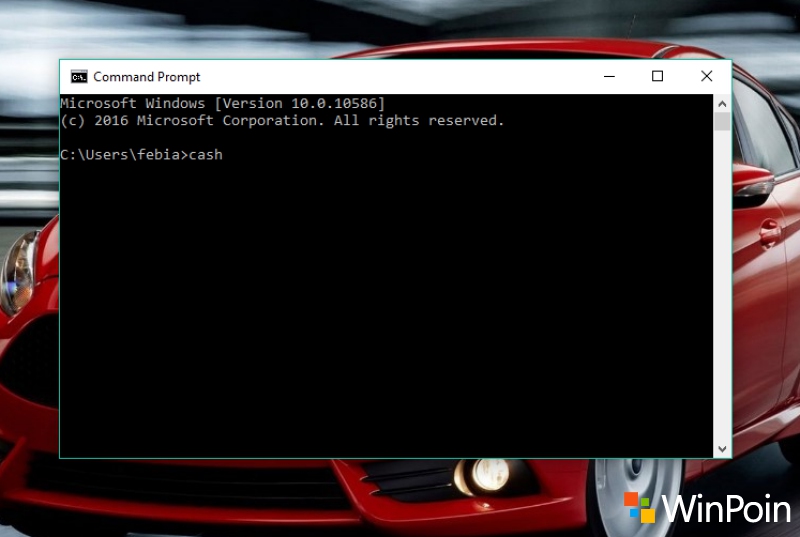 CASH Shell: Membawa Command Line (Terminal) Linux ke ...
