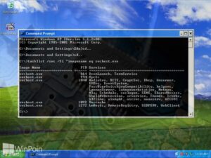 Apa itu svchost.exe?
