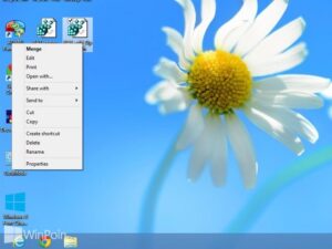 Cara Menambahkan Open With Pada Klik Kiri File BAT