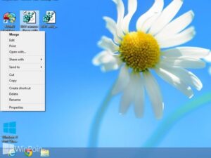 Cara Menambahkan Open With Pada Klik Kiri File BAT