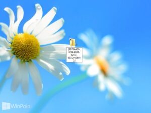 Cara Mengaktifkan GodMode di Windows