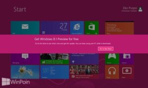 Mending Install Windows 8.1 Preview via Windows Store atau File ISO Ya?