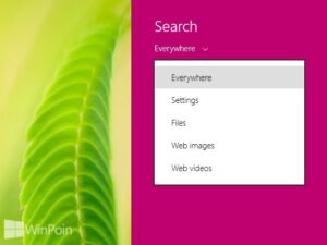 Inilah Fitur Baru di Windows 8.1 Preview (Full Review)