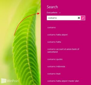 Inilah Fitur Baru di Windows 8.1 Preview (Full Review)