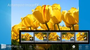 Download Aplikasi Ashampoo ImageFX untuk Windows 8