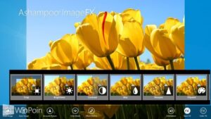 Download Aplikasi Ashampoo ImageFX untuk Windows 8