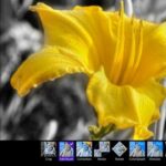 Download Aplikasi Fhotoroom untuk Windows 8