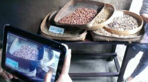 Serunya Windows On Location di Bali