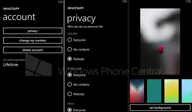 Ada Fitur Pengaturan Last Seen dan Background Gallery di WhatsApp Beta