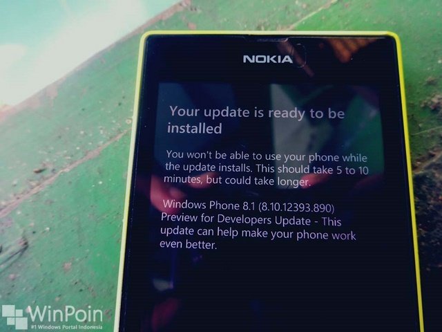 Ada Update untuk Windows Phone 8.1 Preivew For Developer