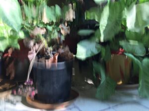 Kamera iPhone 6 Plus Bermasalah, Hasil Foto Blur, Bergelombang, dan Gagal Fokus