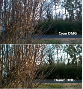 Lumia Cyan vs Lumia Denim: Perbandingan Kamera Menggunakan Lumia Camera 5