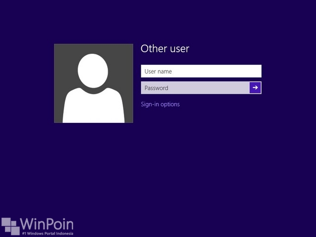 Login User Windows 8