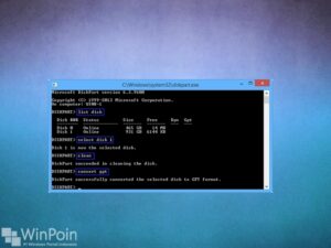 Apa itu GPT Partition atau GUID di Windows??