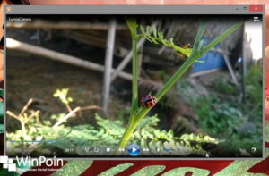 moveimakerwindows8_11