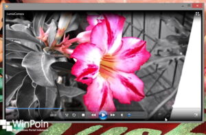 moveimakerwindows8_12