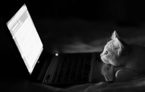 Cara Mengganti Font Default Browser di Windows