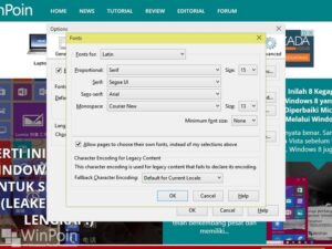 Cara Mengganti Font Default Browser di Windows