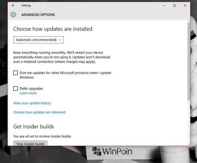 Fitur Automatic Update Tidak Bisa Dimatikan di Windows 10 Home -- Tetapi Bisa di Versi Pro