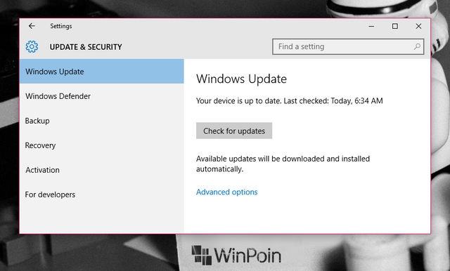 Cek Windows Update Kamu, Ada Bugs Fix dan Update Security Minor di Windows 10