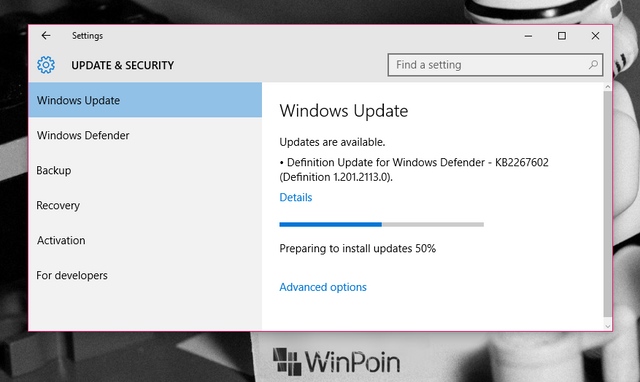 Cek Windows Update Kamu, Ada Bugs Fix dan Update Security Minor di Windows 10