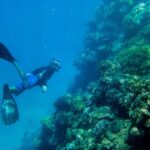 National Geographic Membawa Lumia 950 dan 950 XL Menjelajah The Great Barier Reef