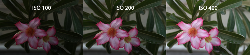 Tips Fotografi Lumia: Memahami ISO dan Shutter Speed - Part 1