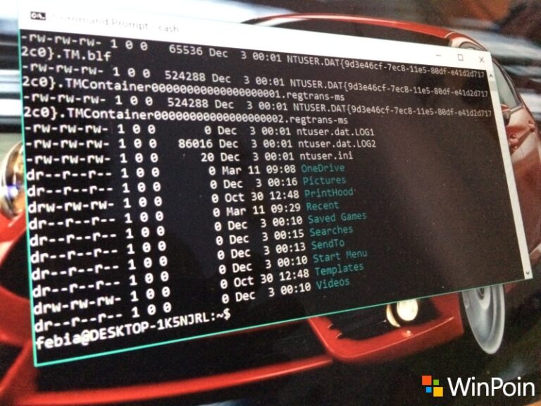 CASH Shell: Membawa Command Line (Terminal) Linux ke Windows