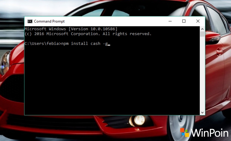 CASH Shell: Membawa Command Line (Terminal) Linux ke Windows