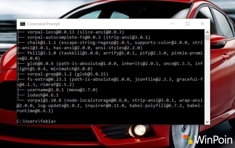 cash terminal review windows terminal bash cash terminal review windows terminal bash