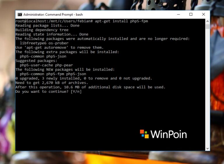 Bin bash m bad interpreter