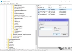 memperbaikimasalahorganizationwindowsupdate (2)