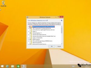 mengintegrasikan windows media center dan netfx3.5 ke ISO windows 8 (11)