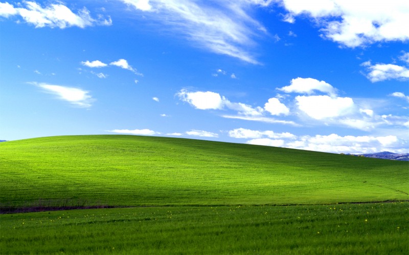 20 Tahun Wallpaper Windows XP Legendaris "Bliss": Ini Kisah & Fotonya Sekarang