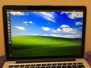 20 Tahun Wallpaper Windows XP Legendaris "Bliss": Ini Kisah & Fotonya Sekarang
