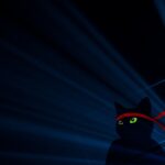 Peringati 1 Tahun Windows 10 dengan Wallpaper Ninja Cat Terbaru