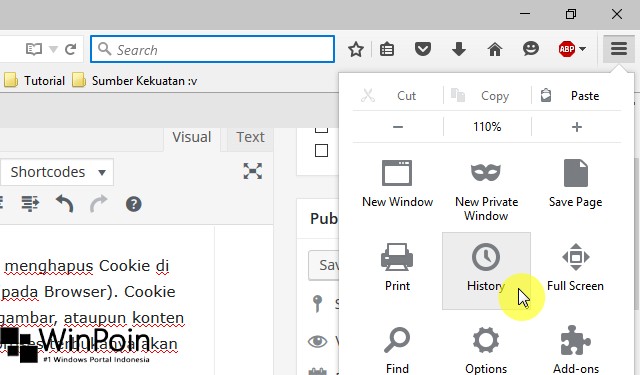 Cara Menghapus Cookie di Mozilla Firefox (2)