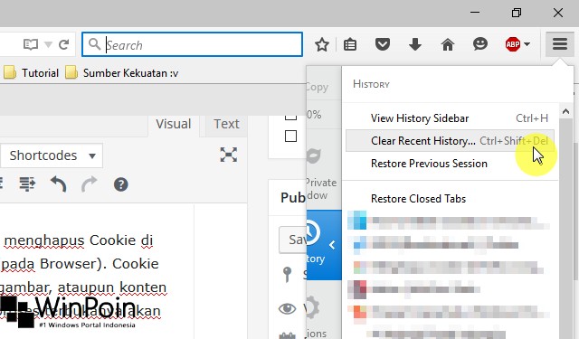 Cara Menghapus Cookie di Mozilla Firefox (3)