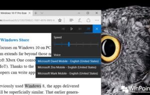 Windows 10 Build 15019 Peningkatan pada Microsoft Edge (5)