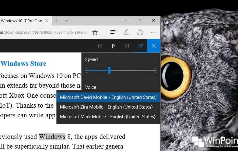 Windows 10 Build 15019 Peningkatan pada Microsoft Edge (5)