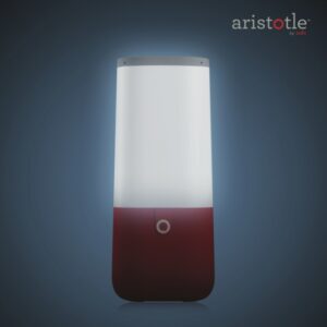 Halo, anak-anak? Ada Teman Baru dari Mattel...