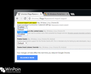 Cara Export Password Google Chrome (2)