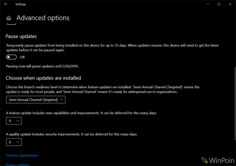 Pause Updates Akan Tersedia Untuk Windows 10 Home Pada Windows 10 "19H1"