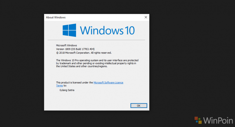 Microsoft Rilis Update KB4490481 Untuk Windows 10 1809! Apa Yang Baru