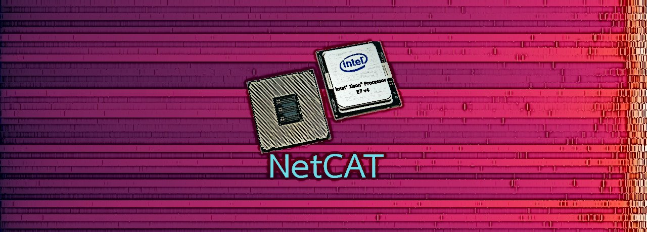 Serangan NetCAT Baru Dapat Membocorkan Data Sensitif Dari CPU Intel!