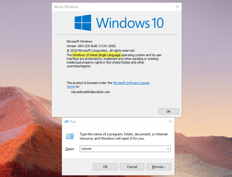 windows 10 single language adalah