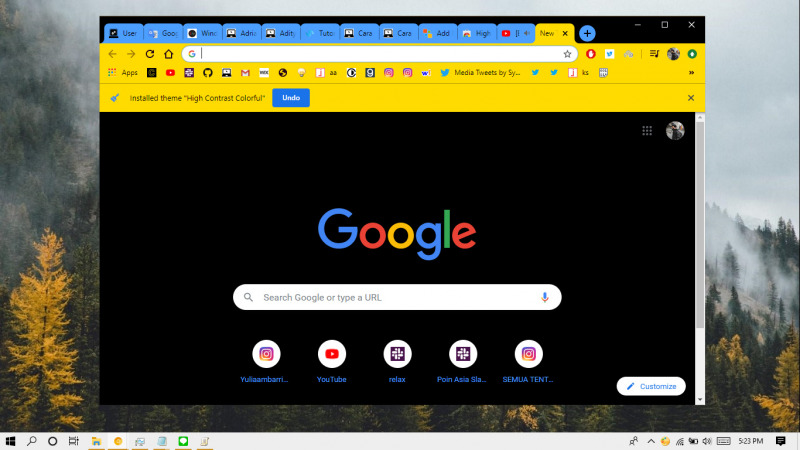 google chrome store