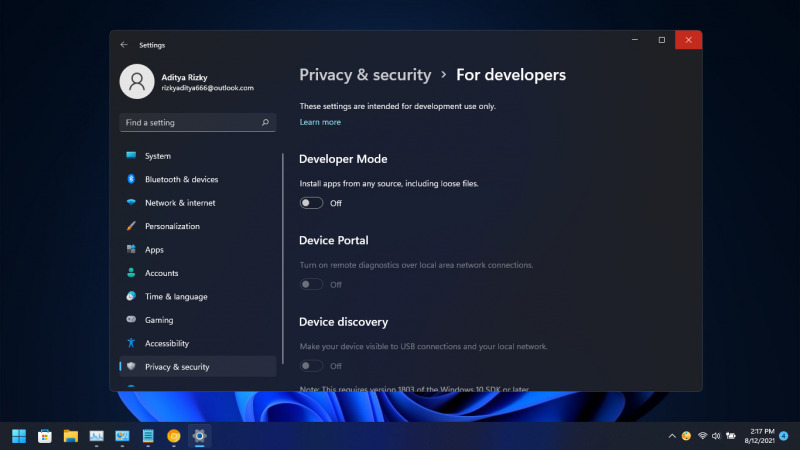 windows 11 developer version download